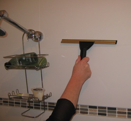 bathroom moisture- squeezee 2