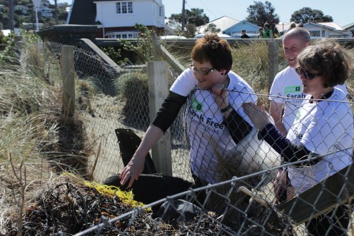lyall bay beach clean up! 003